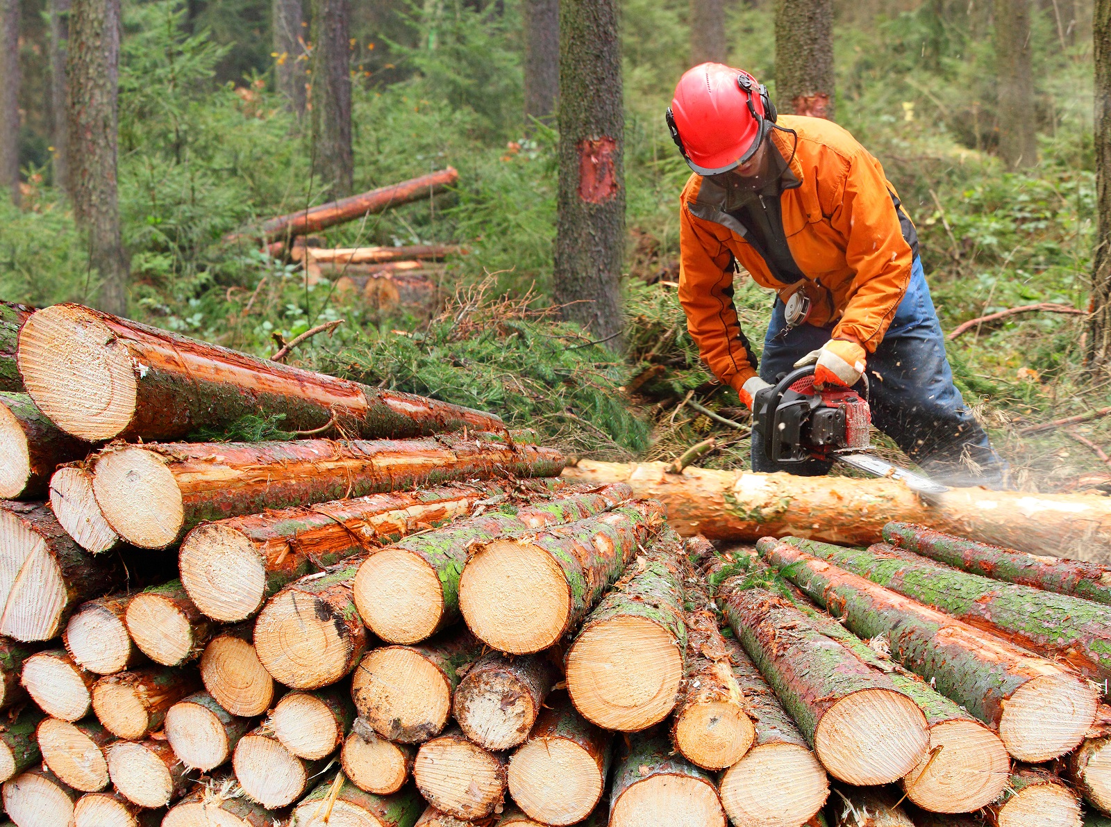 10 Most Dangerous Occupations