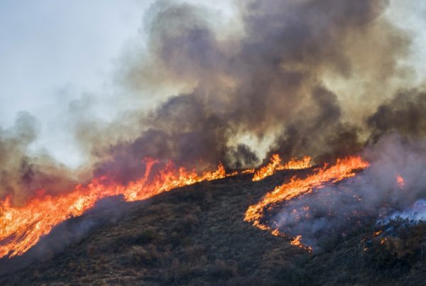 Artificial Intelligence Wildfire Detection