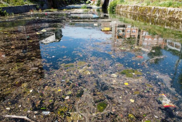 A polluted river in the city.