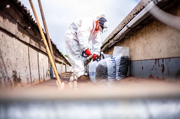 Environmental services company President sentenced to 6.5 years in federal prison for knowingly leaving asbestos at a Chicago demolition site.